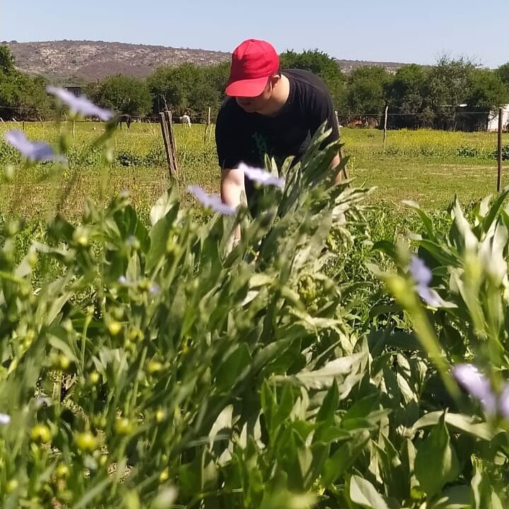 Instagram post from geo.encuentro. This post is in position 3.