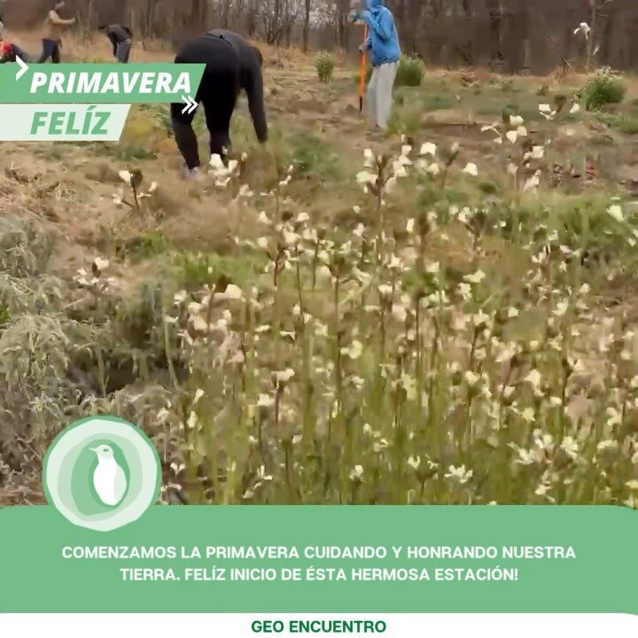 Instagram post from geo.encuentro. This post is in position 15.