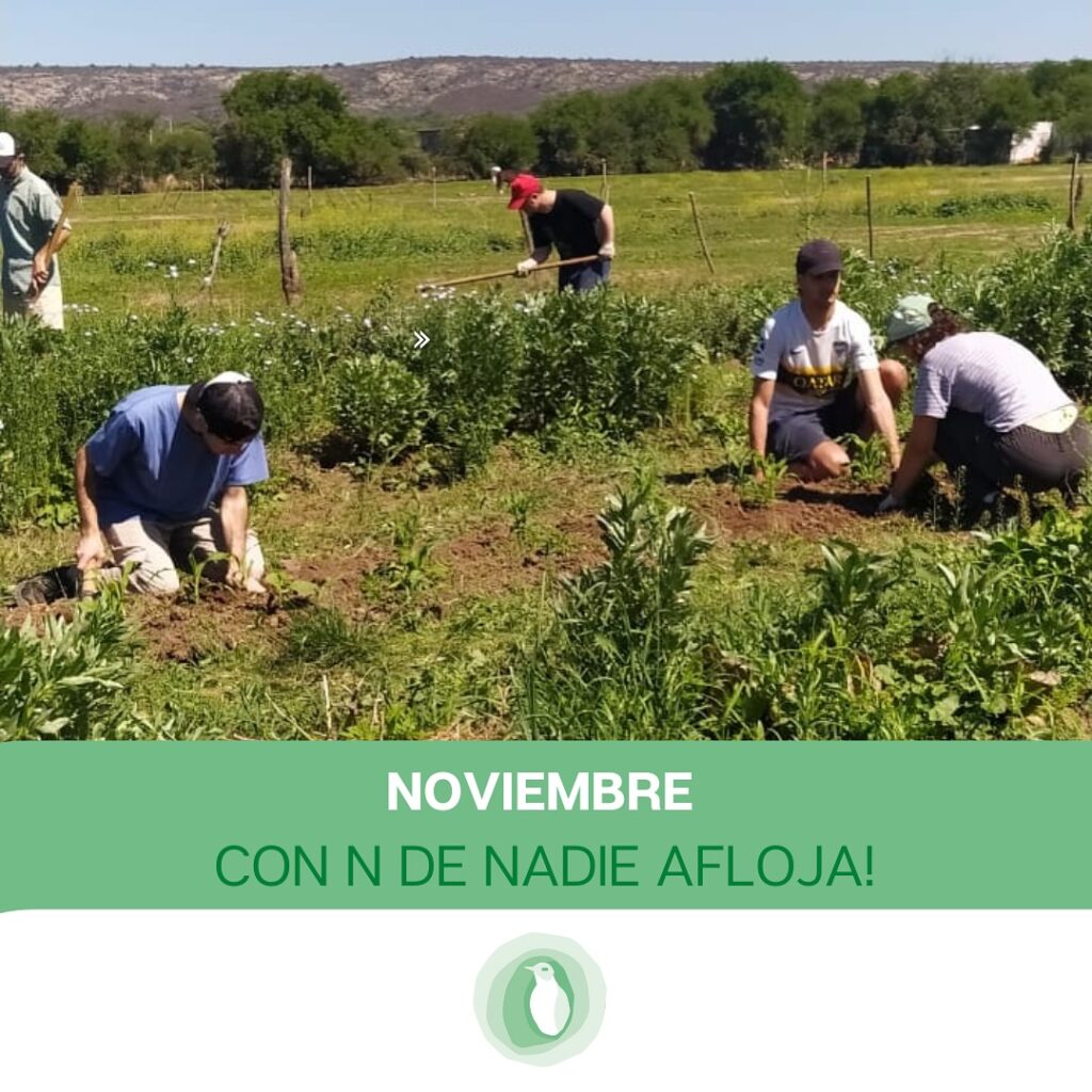 Instagram post from geo.encuentro. This post is in position 0.