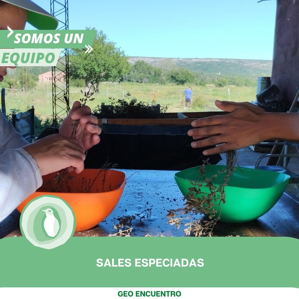 Instagram post from geo.encuentro. This post is in position 0.