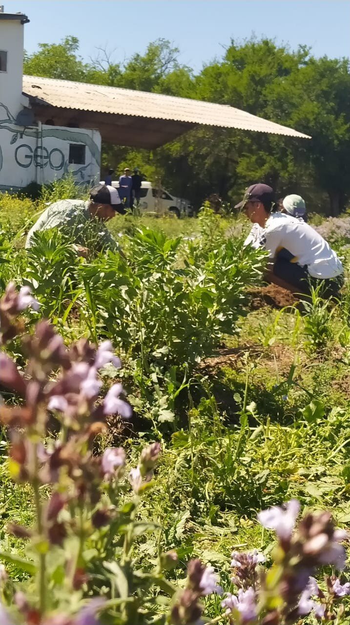 Instagram post from geo.encuentro. This post is in position 8.